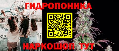 ешки Лесосибирск