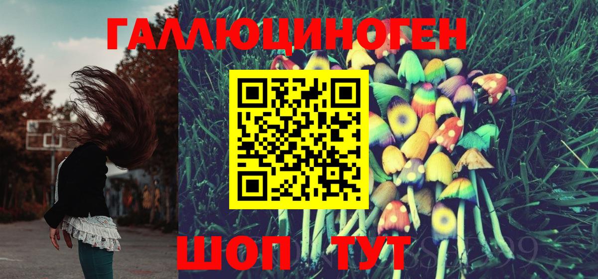 Киржач  Псилоцибиновые грибы Cubensis  как найти закладки  Вход с VPN 