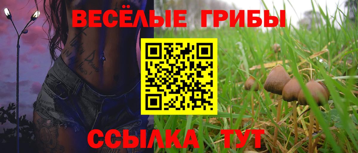 Галлюциногенные грибы Psilocybine cubensis Киржач